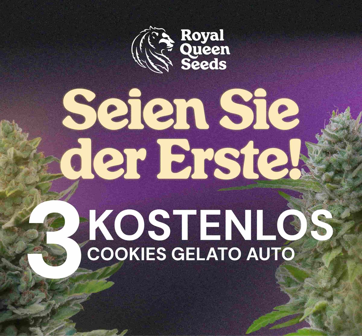 Mail_BETHEFIRST_DE oct (1)